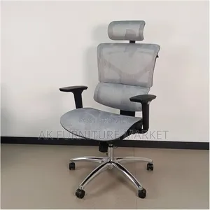 Modern Ergonmice Manager Chair