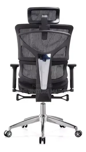 Modern Ergonmice Manager Chair