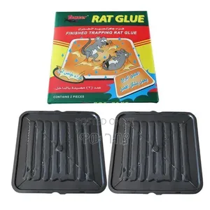 Photo - የአይጥ Glue Rat Traps
