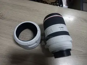 Photo - Canon Zebra Rf Lens