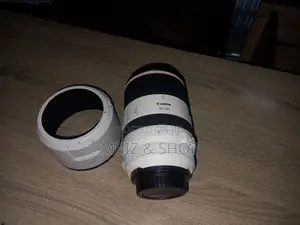 Canon Zebra Rf Lens