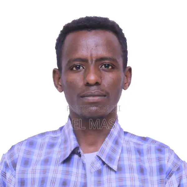 Frontend Developer ( Any Online CVs Related )