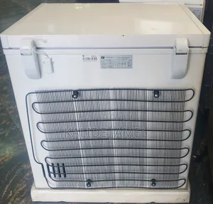 Everst Dep Ferizer Model 230