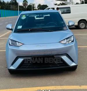 New BYD Seagull 2025 Blue