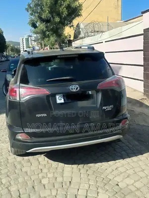 Toyota RAV4 2017 Brown