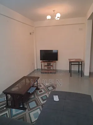 Furnished 1bdrm Apartment in Cmc Sunshine, Bole for sale