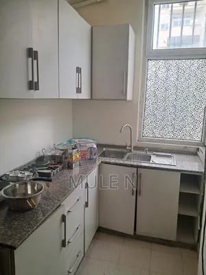 Furnished 1bdrm Apartment in Cmc Sunshine, Bole for sale