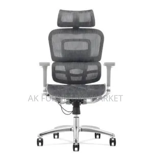 Modern Ergonomic Chair