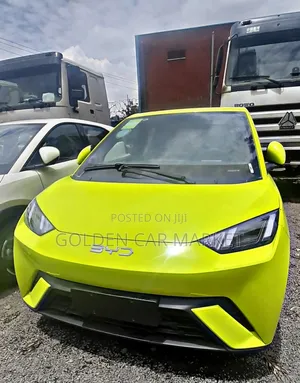Photo - New BYD Seagull 2024 Yellow