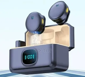 Photo - Dual Wireless Microphone Free Delivery