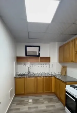 Furnished 2bdrm Apartment in Bat Real Estate, Bole for sale