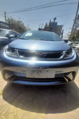 Photo - New BYD E1 2024 Blue