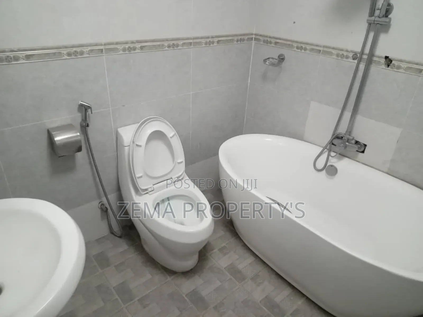 Furnished 3bdrm Apartment in Zema, Bole for rent
