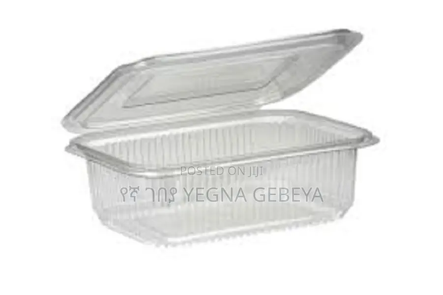 Plastic Salad Container Large With Lids