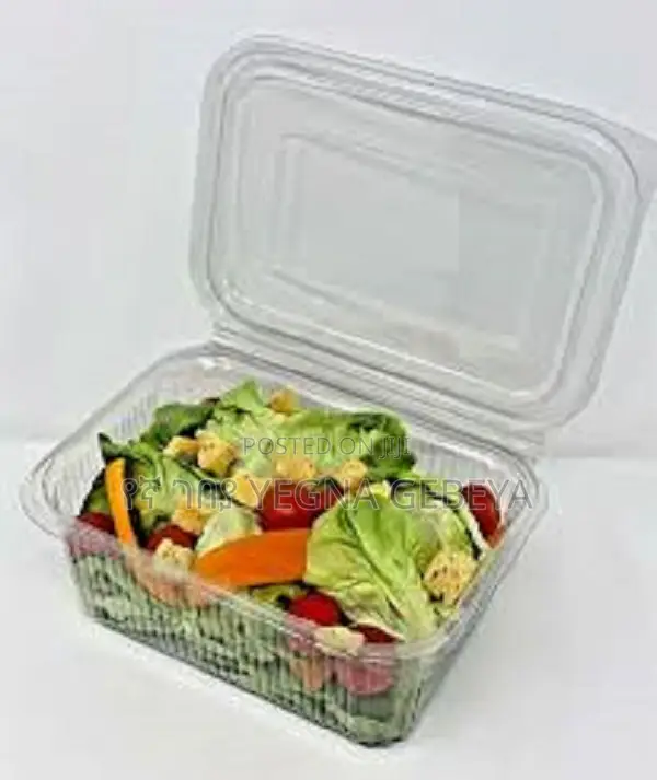 Plastic Salad Container Large With Lids