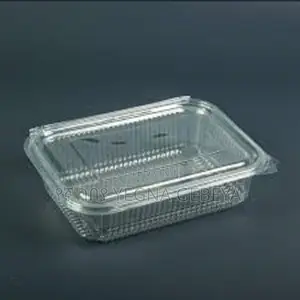 Takeaway Box With Lids Plate Medium Size