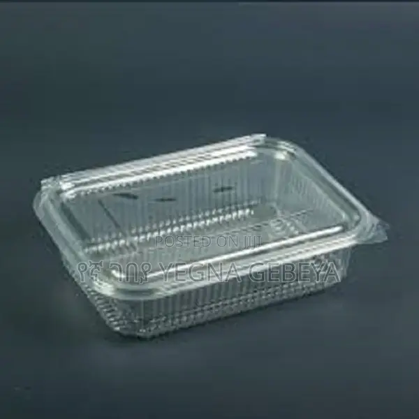 Takeaway Box With Lids Plate Medium Size