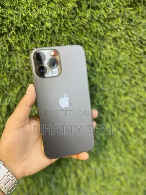 Apple iPhone 13 Pro Max 128 GB Gray