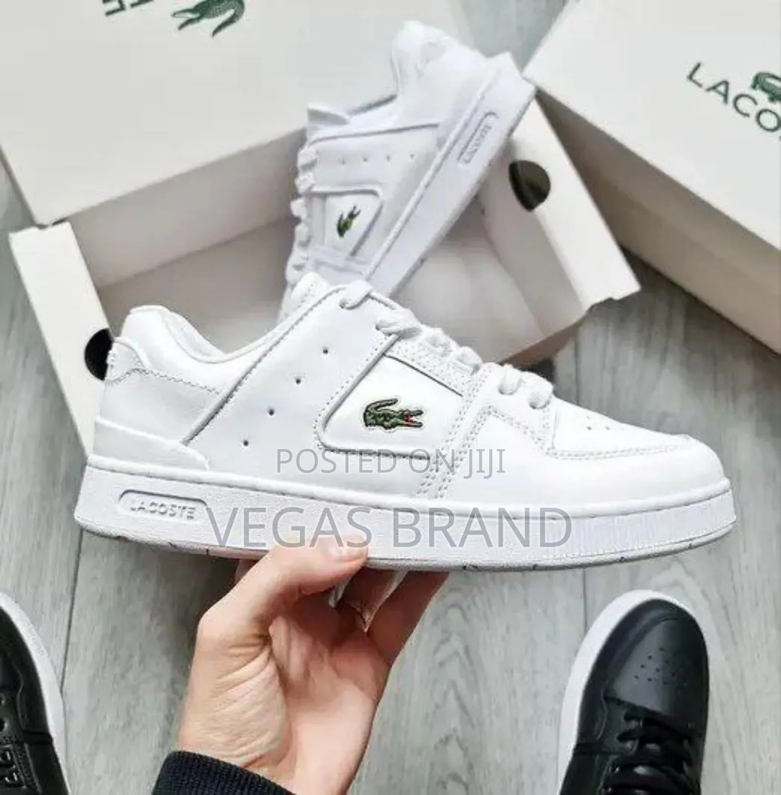 Lacoste Court Cage White Master Quality Shoes
