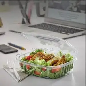 Small Clear Plastic Takeaway Containers