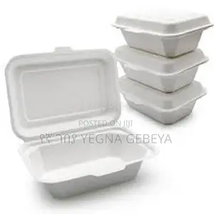 Small White Takeaway Containers
