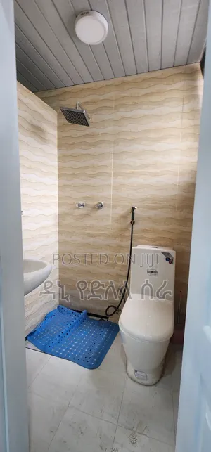 Furnished 2bdrm Condo in አዲስ አበባ, Bole for sale