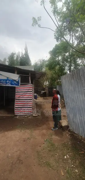 7bdrm House in Oromia-Finfinne for sale