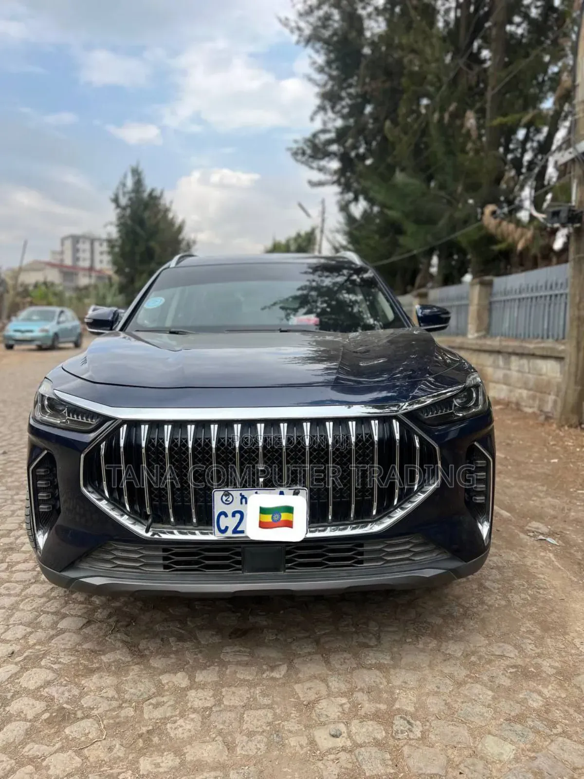 Volkswagen ID.6 2022 Blue