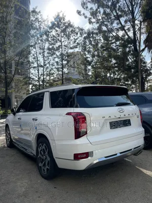 New Hyundai Palisade 2023 White