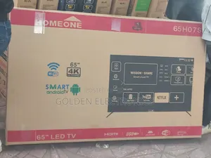Home One 65 Smart Tb