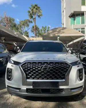 Photo - New Hyundai Palisade 2023 White