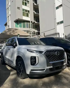 New Hyundai Palisade 2023 White