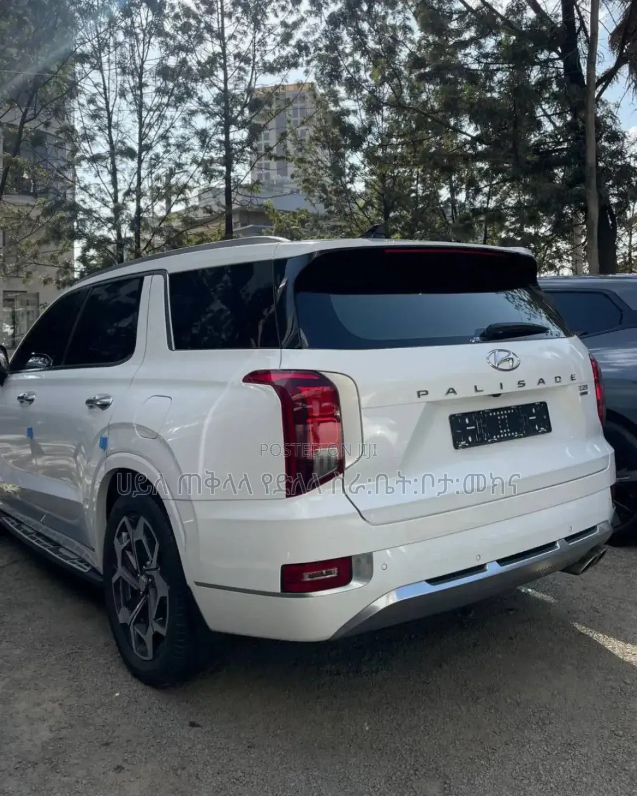 New Hyundai Palisade 2023 White