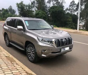 Toyota Land Cruiser 2019 Gray