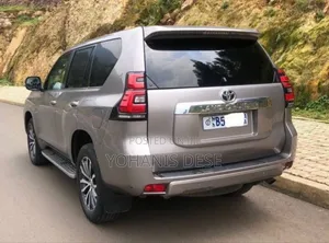 Toyota Land Cruiser 2019 Gray