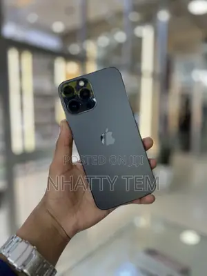 Apple iPhone 13 Pro Max 256 GB Gray