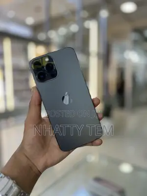 Apple iPhone 13 Pro Max 256 GB Gray