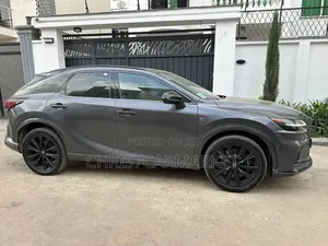 Lexus RX 2023 Gray