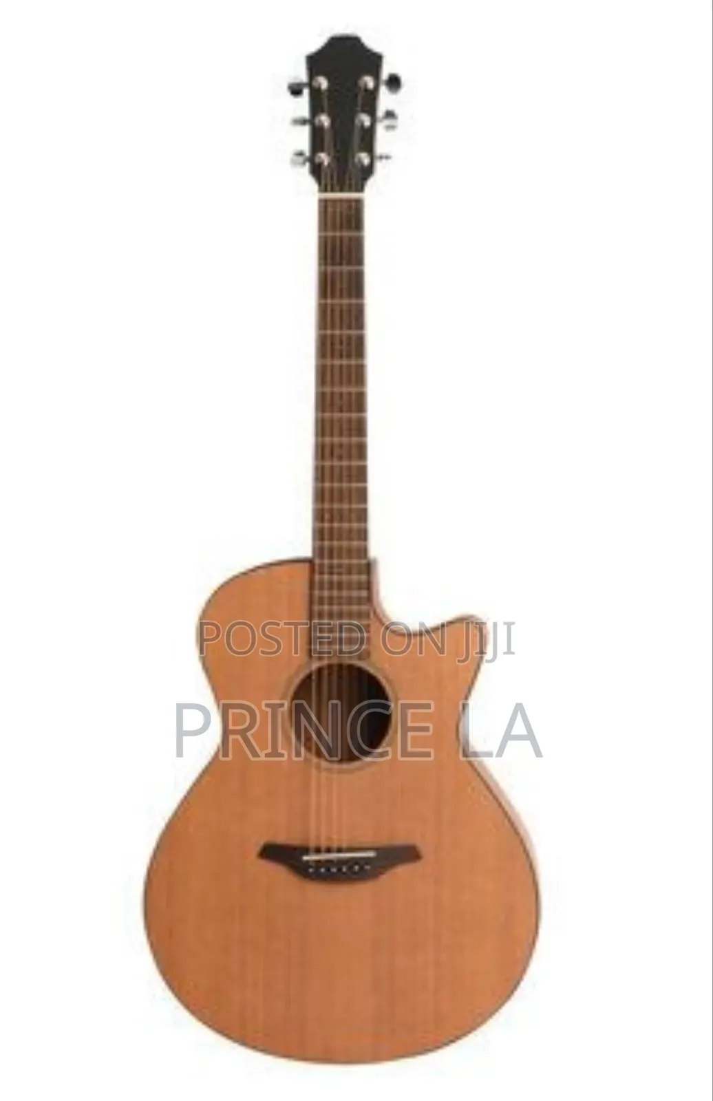 Classic Acoustic Guitar