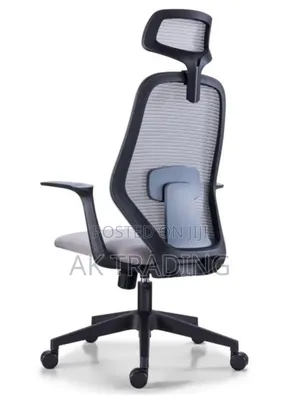 Modern Office Manager Chair