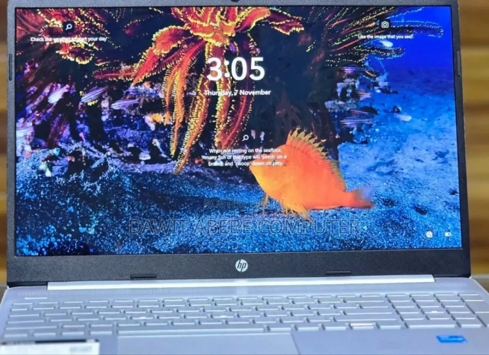 New Laptop HP Stream Notebook 8GB Intel Core I3 SSD 256GB