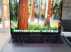 New Laptop Apple MacBook Pro M1 16GB Apple M1 SSD 1T