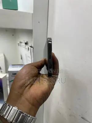 Apple iPhone 13 Pro Max 256 GB Black