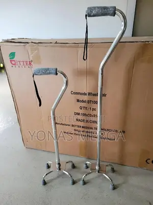 Photo - Mobility Aids walking Sticks