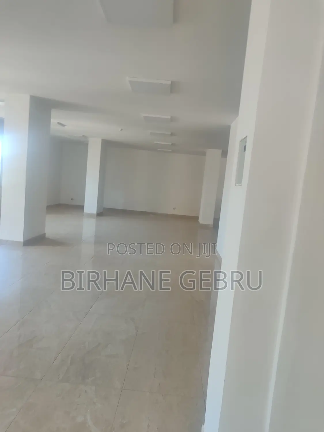 Luxiry Apartiment Rent for Office