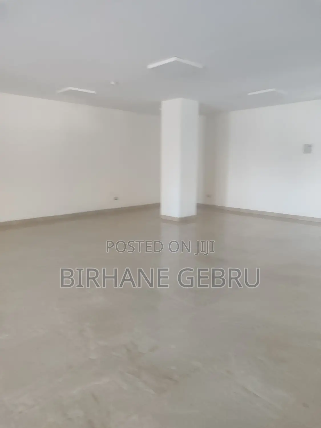 Luxiry Apartiment Rent for Office