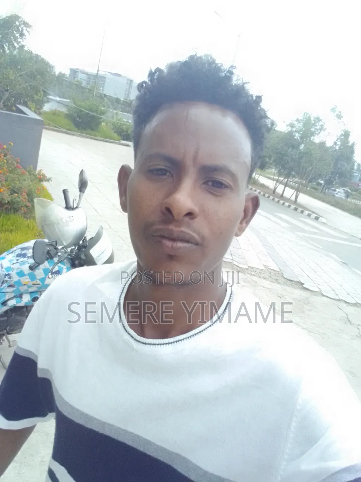 Tutorial for Studentes1-8 Grads