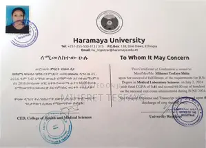 Photo - Health Professional