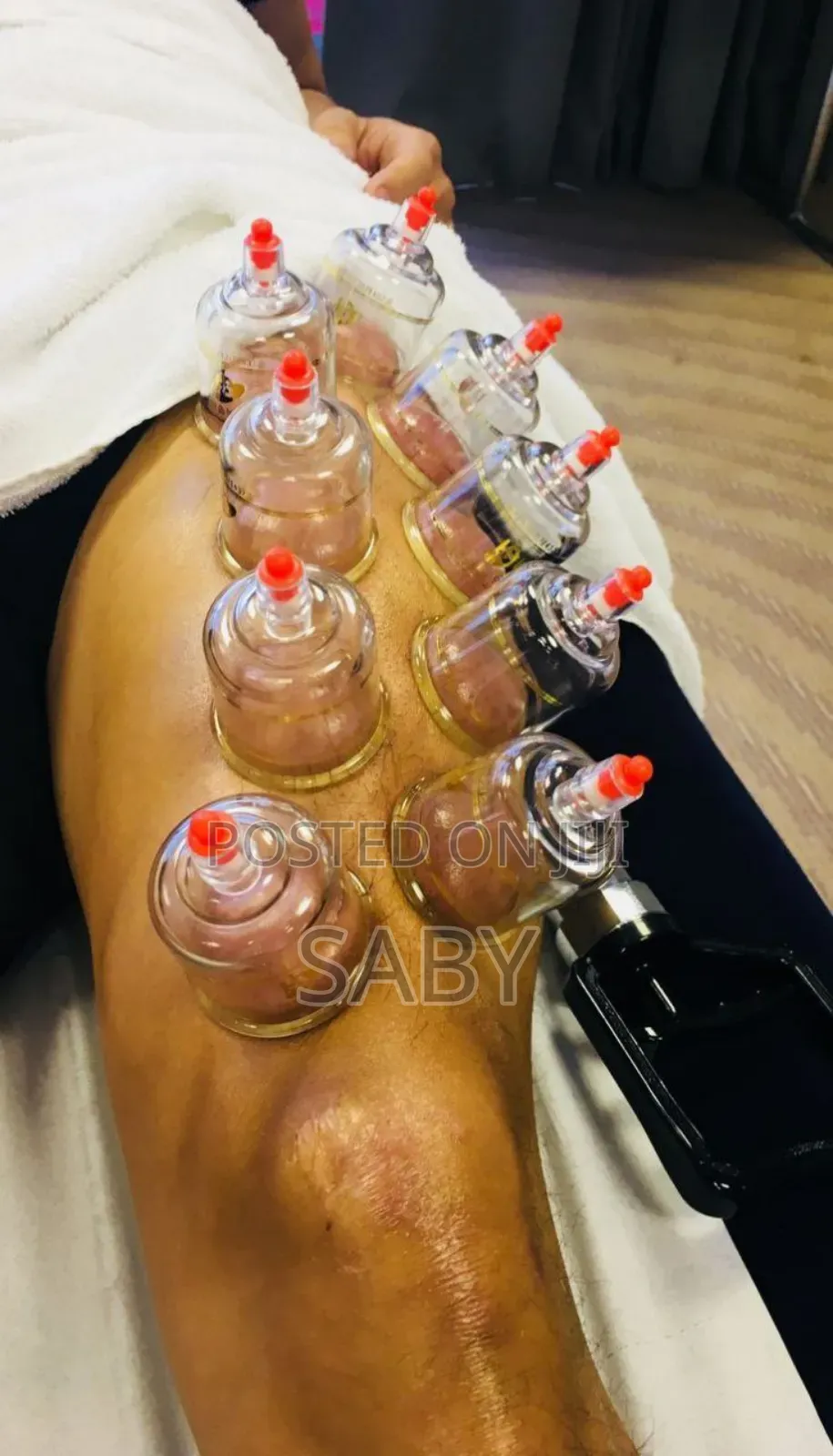 18chinnese Terrapy Cup