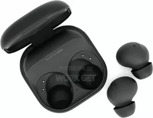 Photo - Samsung Galaxy Buds 2 Pro – D